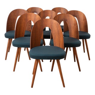 Mid-Century Modern Dining Chairs by A. Šuman, 1960s, Set of 8 For Sale