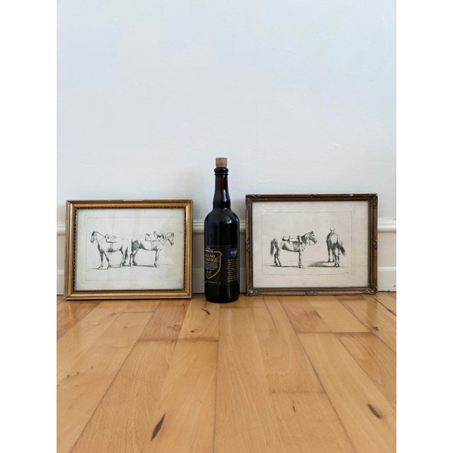 Antique Original Horse Etchings, Circa 1700: Framed Equestrian Prints - a Pair For Sale - Image 13 of 15