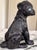 Late 20th Century Vintage Studio Art Black Leopard Figure For Sale - Image 5 of 18
