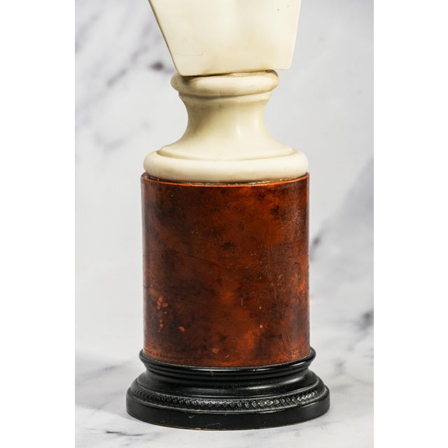 1970s Vintage Roman Julius Caesar Man Bust Statue Classical Grand Tour Style Sculpture Home Decor For Sale - Image 5 of 14