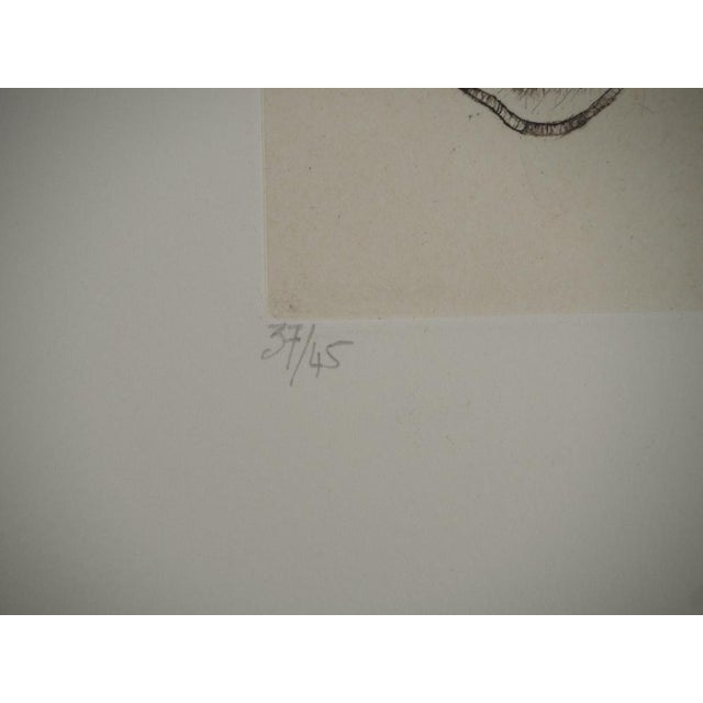 Modern Fred Deux, Taking Root, Original Engraving For Sale - Image 3 of 6