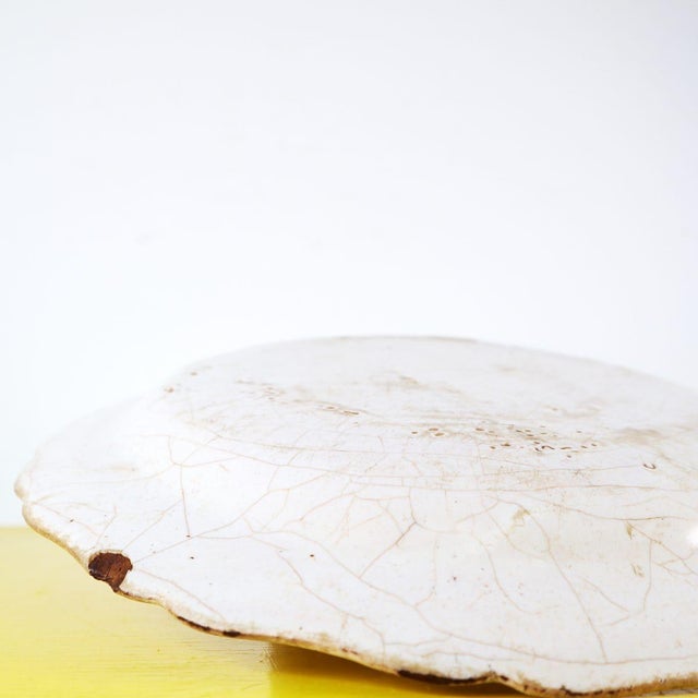 White Hand-Painted Glazed Terracotta Plate, Italy For Sale - Image 8 of 12