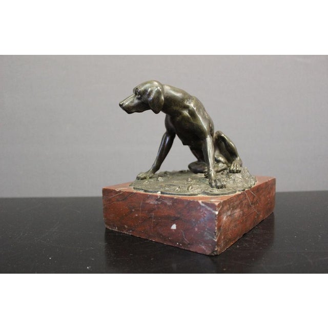 19th Century Bronze Hunting Dog Figurine For Sale - Image 11 of 14