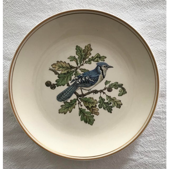 Vintage decorative bird plates with a pretty gold double rim.