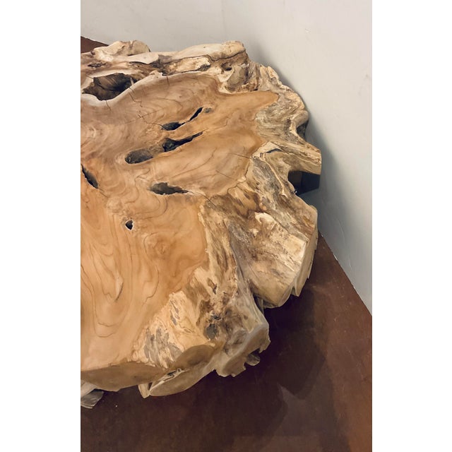Stylish Organic Modern Teak Root Ball Cocktail Table, showroom floor sample