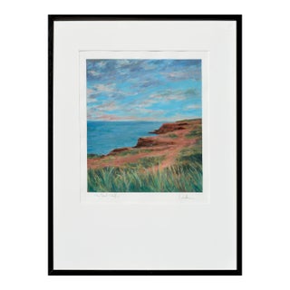 Coastal Landscape -- Red Cliffs by Ander Kase For Sale
