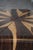 Petala Coffee Table in Cocobolo Wood by Jorge Zalszupin for l'Atelier Brazil, 1959 For Sale - Image 4 of 10