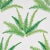 Schumacher Schumacher X Cristina Buckley Canyon Ferns Wallpaper in Jungle - 10 Yards For Sale - Image 4 of 4