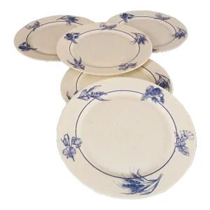 Vintage Arcopal France Blue & White Crackle Design Dinner Plates S/5