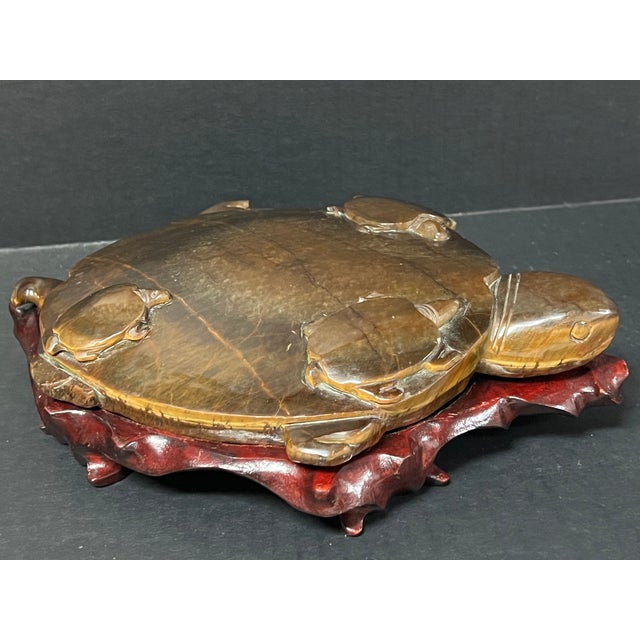 Chinese Art Carved Tiger Eye Stone Turtle Sculpture on Wooden Display Stand For Sale - Image 4 of 11