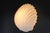 Large Shell Wall Lamp in Opal Glass from Glashütte Limburg, 1970s For Sale - Image 4 of 11