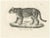 Jaguar, 1836, Lithograph For Sale - Image 10 of 10