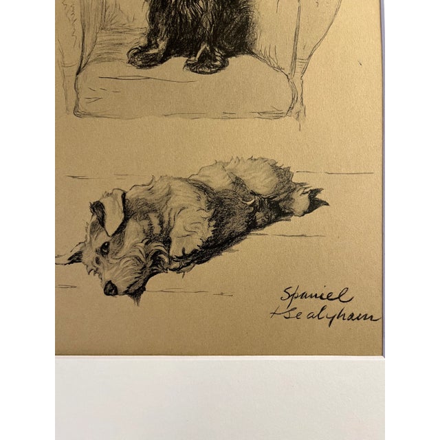 Wonderful 1935 book illustration by noted British artist Cecil Aldin, Spaniel and Sealyham Terrier. Printed on toned beige...