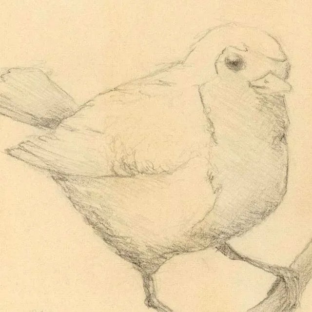 Figurative "The Robin" Original Abigail Matheson Graphite and Wash Drawing on Paper the Secret Garden Collection For Sale - Image 3 of 3