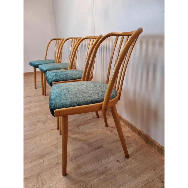 Chairs by Antonín Šuman for Ton, Set of 4 For Sale - Image 3 of 8