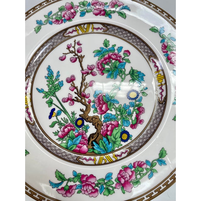 Ceramic English Porcelain Aynsley Chinoiserie Indian Tree Dinner Plates - Set of 16 For Sale - Image 7 of 8