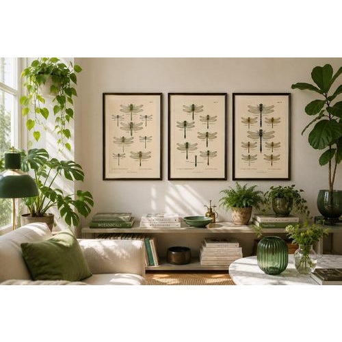 Dragonfly & Damselfly Lithographs by Richard Tümpel, 1908, Set of 3 For Sale - Image 6 of 14