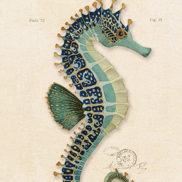 Contemporary Contemporary Reproduction of Vintage "Green Seahorse" Giclee Print, Framed For Sale - Image 3 of 4
