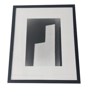 Contemporary Original Black and White Abstract Silver Gelatin Limited Edition Photograph by Rachel Scheinfeldt, Framed