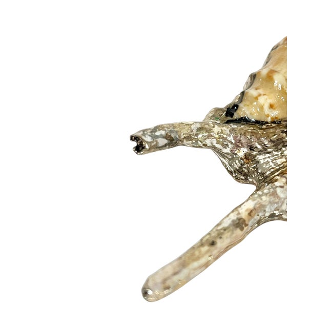 Vintage Partially Silvered Lambis Scorpion Spider Conch Shell in the Style of Bucellati For Sale - Image 6 of 10