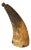 Early 19th Century Gun Powder Horn With Original Carved Pin For Sale