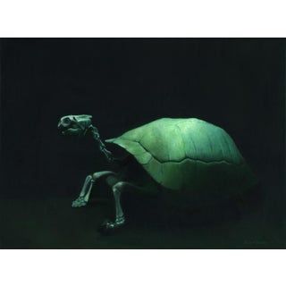 Lonesome George by Kevin A. Moore | Oil on panel Turtle skeleton with a green shell For Sale