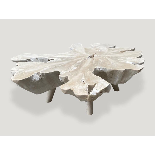 Andrianna Shamaris Amorphous Bleached Teak Wood Mid Century Style Coffee Table For Sale - Image 12 of 18