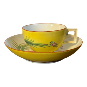 Antique 19th Century Meissen Porcelain Tea Cup and Saucer With Tropical Floral Decoration on a Bright Yellow Ground