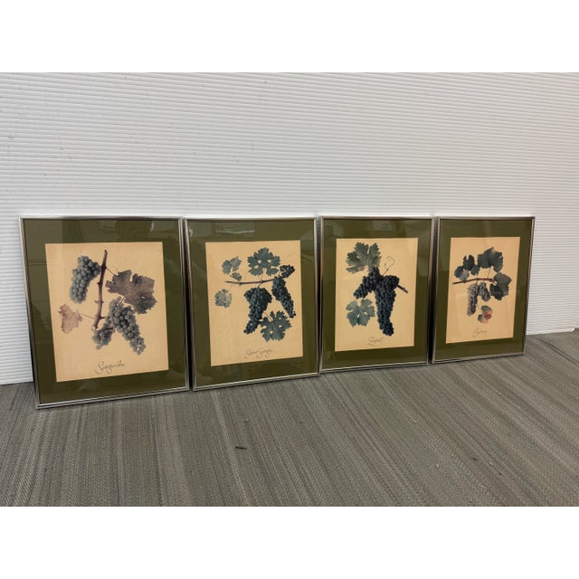 Design Plus Gallery presents a Set of Four Vintage Grape Varietals Lithographs. Each of the four print depicts a single...
