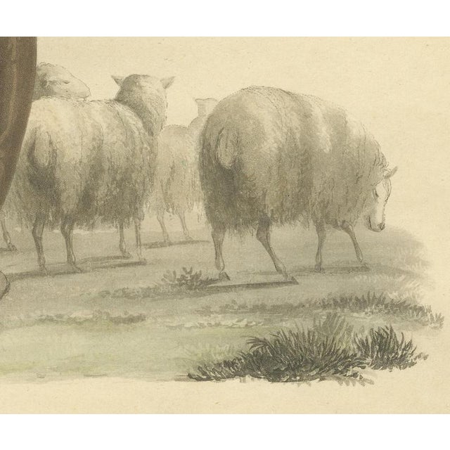 After Miss Semple, Shepherd Near Valenciennes with His Flock, 1817, Engraving For Sale - Image 6 of 9