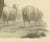 After Miss Semple, Shepherd Near Valenciennes with His Flock, 1817, Engraving For Sale - Image 6 of 9
