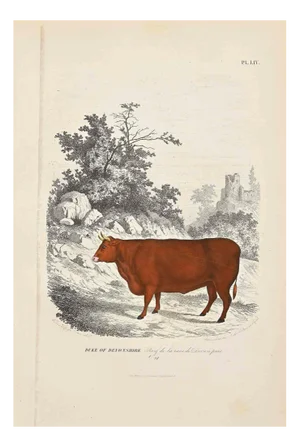 Paul Gervais, The Cow, Original Lithograph, 1854