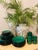 Fabulous vintage French varages dishes set, a beautiful green with a black border, the set consists of 8- Plates...