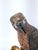 2000 - 2009 American Harrier Hawk & Gloved Handler 2003 – Carved Wooden Sculpture Signed Bradford King For Sale - Image 5 of 16