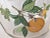 1950's West Virginia Glass Co Fruit Bowl For Sale - Image 4 of 6