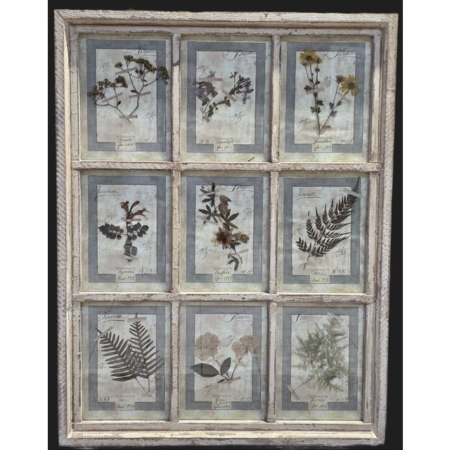 Large decorative panel depicting a collection of dried botanical specimens, inspired by early 20th-century herbals. The...