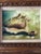 Vintage Still Life Conch Oil Painting in Hand Made Frame For Sale In Miami - Image 6 of 11