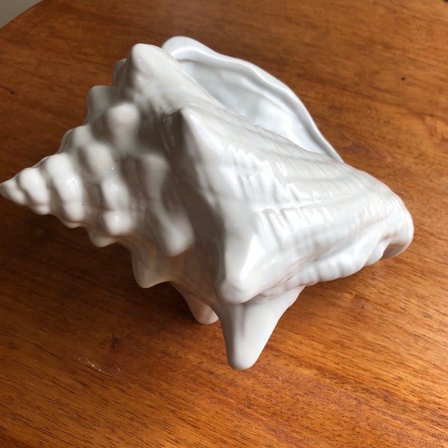 Late 20th Century Pearl White Conch Shells Cachepots Set of 2 Chairish