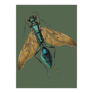 Bugs by Seguy #18 For Sale