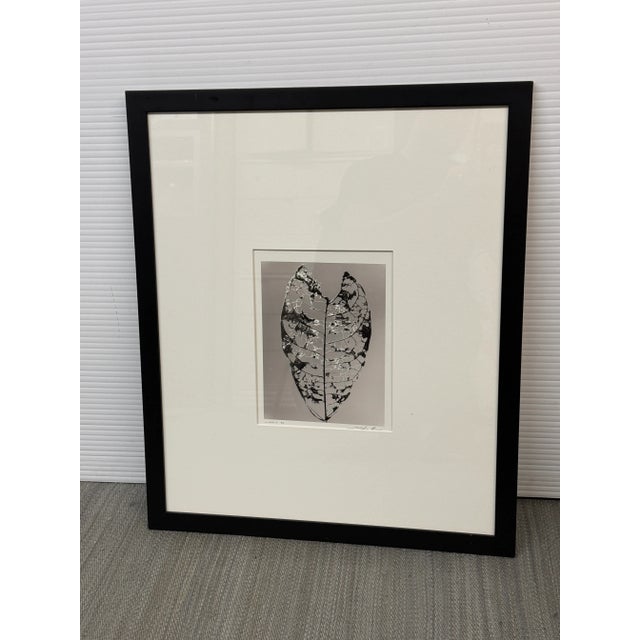 Design Plus Gallery presents "Jamaica" Ltd Ed Print" by Stefano Massei's. This art works is an image of a leaf through a...