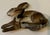 Lithographed Tinplate Clockwork Bunny Rabbit or Hare by the Automatic Toy Co. Staten Island, New York Circa 1930 For Sale - Image 16 of 18
