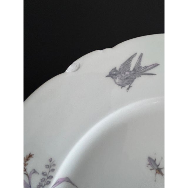 Porcelain Plates and Platter by Ch Pillivuyt & Cie, 1890s, Set of 8 For Sale - Image 16 of 17