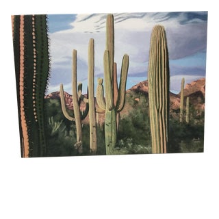 2010 Signed Ann Rankin Saguaro Cactus Photograph on Stretched Canvas For Sale