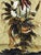 Larry Fodor "Changing Eagle"1984 Original Color Hand Signed Make an Offer For Sale - Image 4 of 7