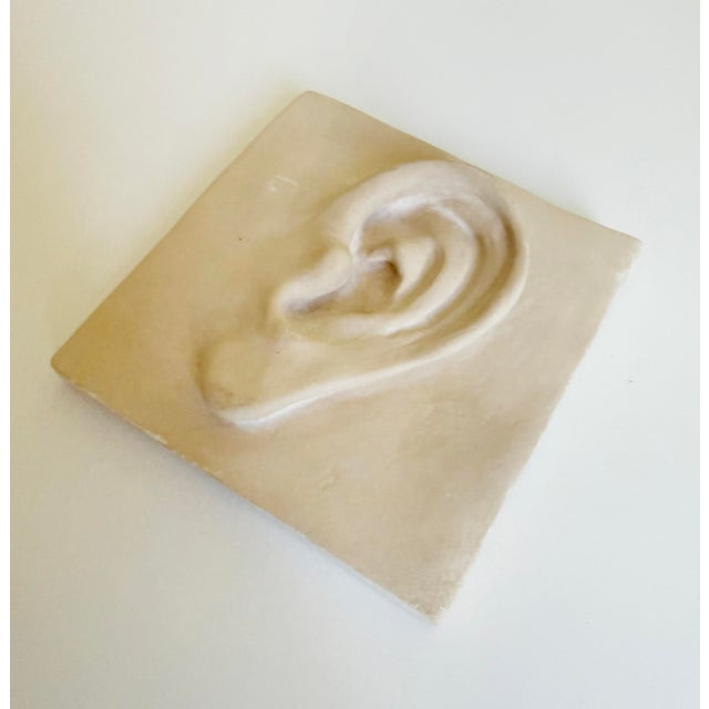 Vintage Plaster Relief of Ear For Sale - Image 4 of 9