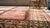 19th Century Caucasian Karachopf Kazak Carpet ( 5' x 9'9" - 152 x 297 ) For Sale - Image 14 of 15