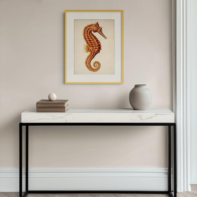 Illustration Vintage Seahorse — Natural History Fine Art Print For Sale - Image 3 of 3