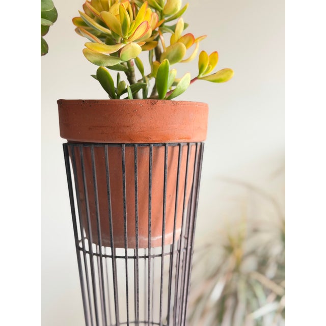 Black Pair of MCM Mid Century Modern Sculptural Vintage Atomic Modern Black Wire Plant Stands in the Style of Arthur Umanoff Indoor Outdoor For Sale - Image 8 of 12