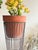 Black Pair of MCM Mid Century Modern Sculptural Vintage Atomic Modern Black Wire Plant Stands in the Style of Arthur Umanoff Indoor Outdoor For Sale - Image 8 of 12