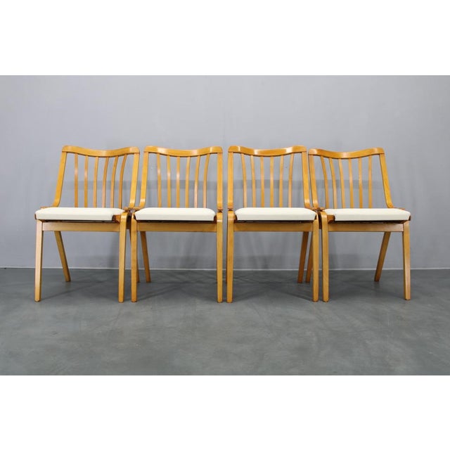 Mid-Century Dining Chairs from Jitona, 1960s, Set of 4 For Sale - Image 3 of 18